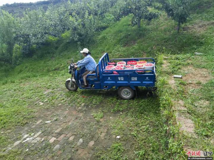 沈阳特色农业_沈阳农业旅游景点_