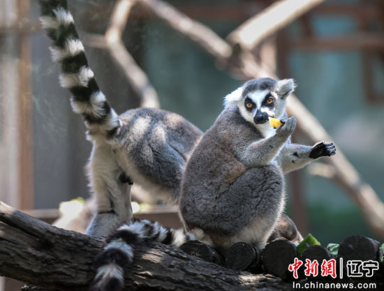 沈阳金秋医院是什么医院_沈阳秋季展会啥时候开_