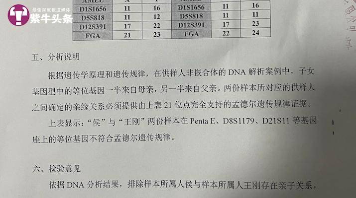 16年认亲竟是假象！小伙DNA鉴定揭惊人真相：我的亲生父母究竟在何方？